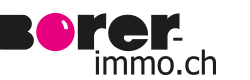 Borer-Immo GmbH